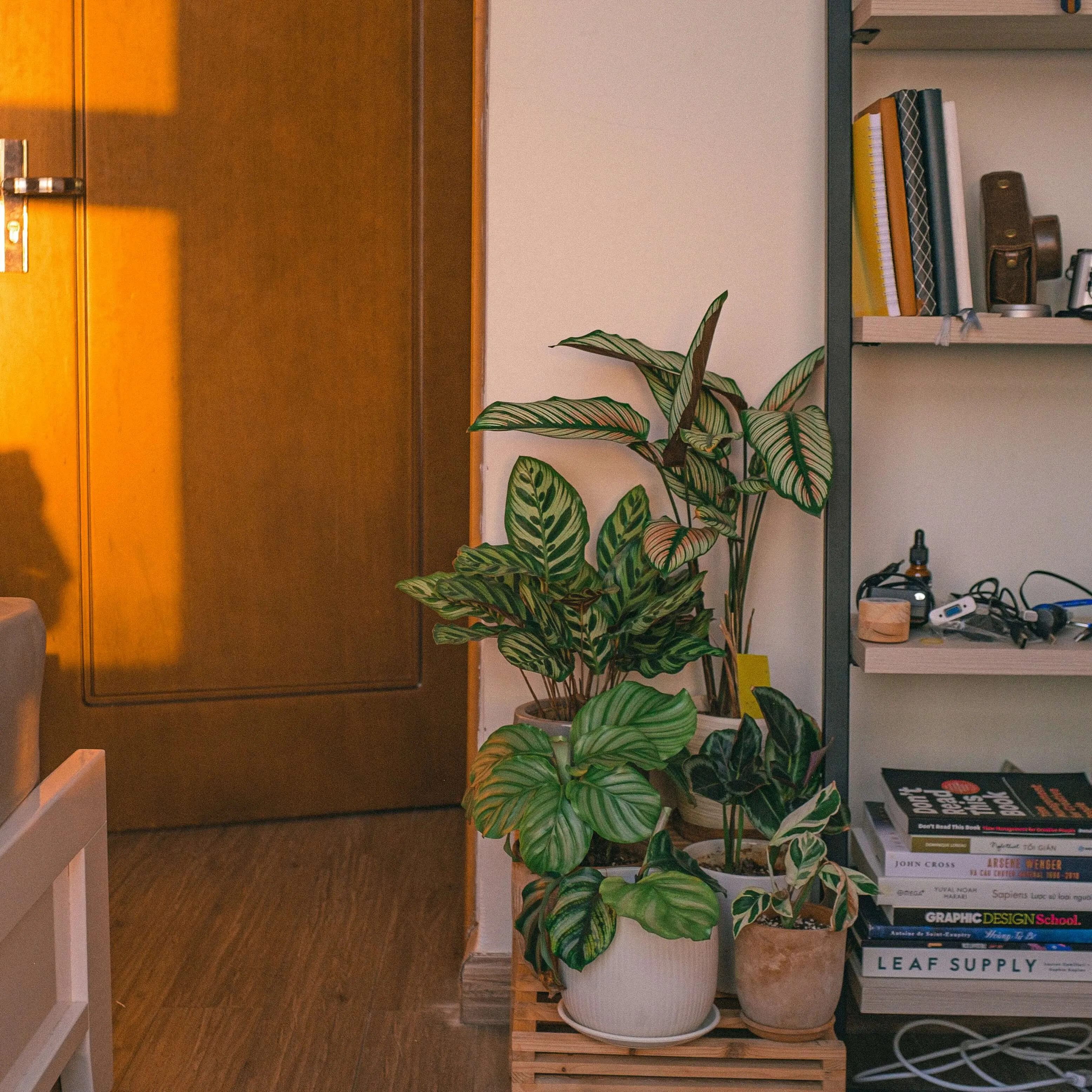 Artificial Plants